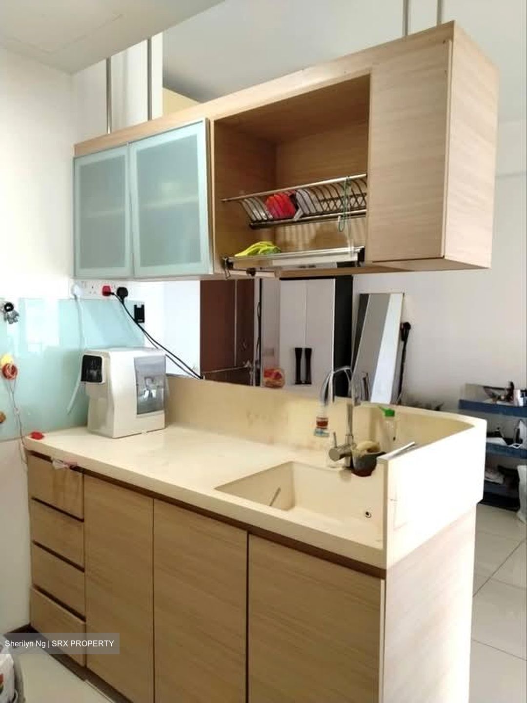 Parc Vera (D19), Condominium #603063401